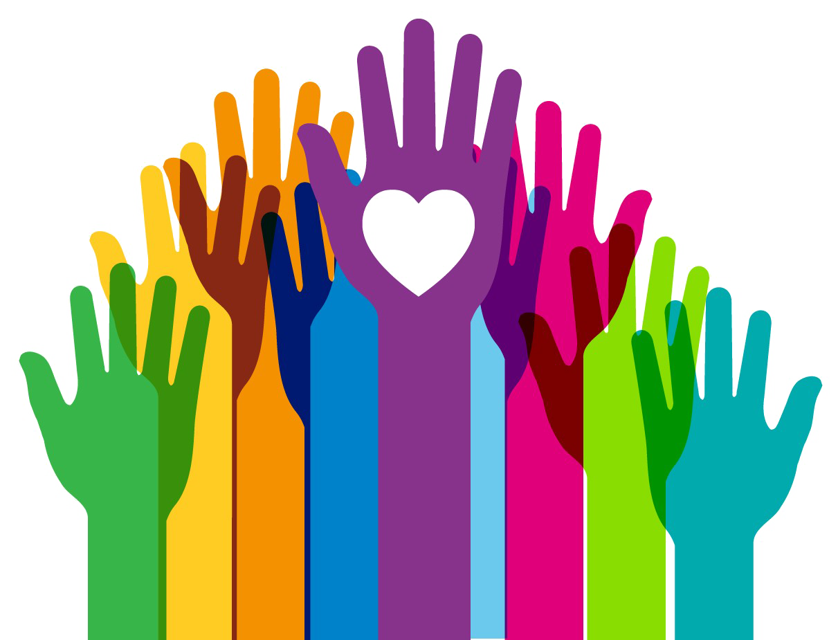 NGO Management